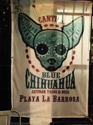 Cantina Blue Chihuahua