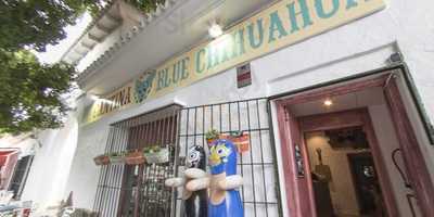 Cantina Blue Chihuahua