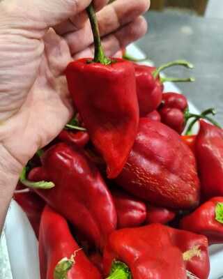 Restaurante La Maltraviesa