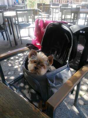 Sibuya Urban Sushi Bar Burgos