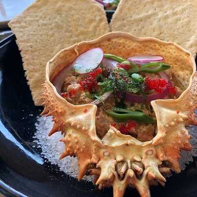 Nolita Xantar De Praia