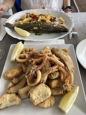 L, Avi Bernadet Fiol