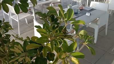 Tobogan Food & Cocktails - Waterslide