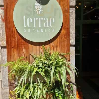 Terrae