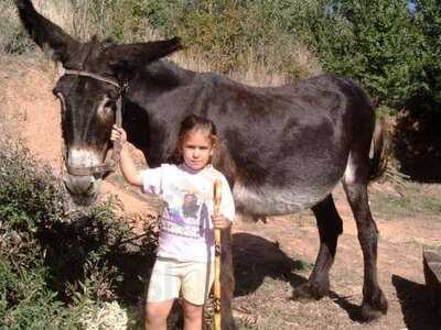 Restaurante La Alistana
