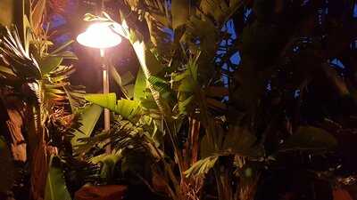 Cafeteria Cocteleria Villa Esperanza