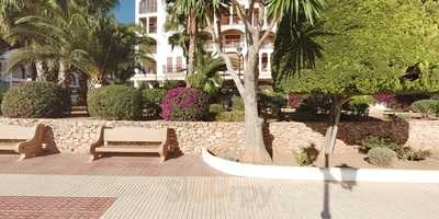 Nimmo's Wild Rover - Irish Bar