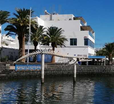 Cafe Bar Papa Miguel