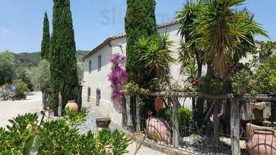 Masia El Molí De Cal Dimoni