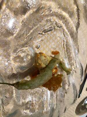 Restaurante Sergi Vidal