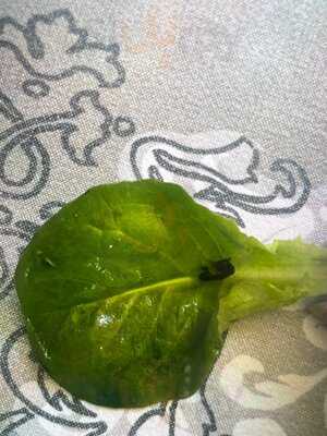 Restaurante Hacienda De El Cardenal