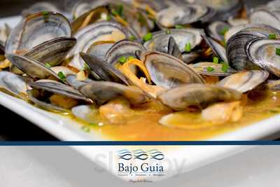Bajo Guia