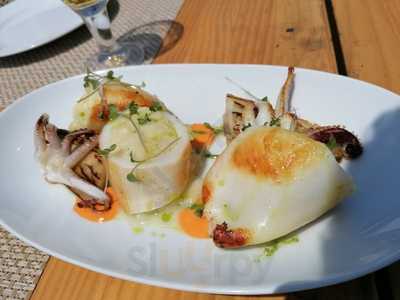 Salicornia Xiringuito