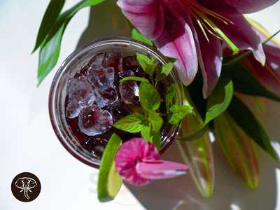 Teranga Afro Gastro Bar