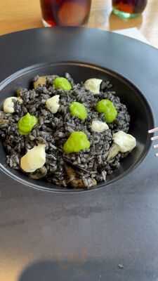 Nuevo Almacen Santa Teresa