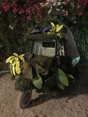 Blue Marlin Ibiza Marina