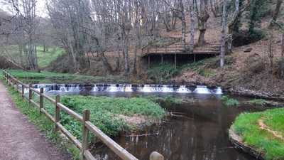 Restaurante Terras Do Mino