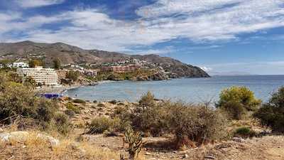 El Arbol Blanco Playa