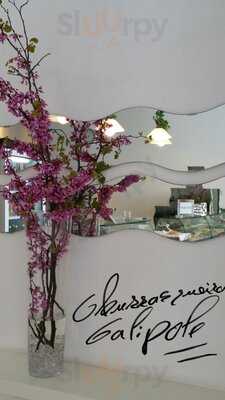 Churrasqueira Calipole