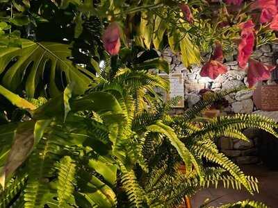 (cenador) O Carrasco