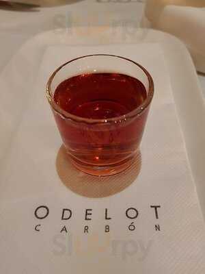 Odelot Carbón
