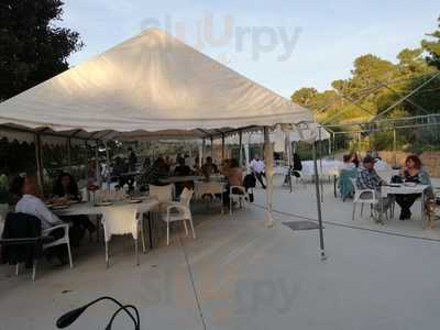 El Castillo Del Pinar