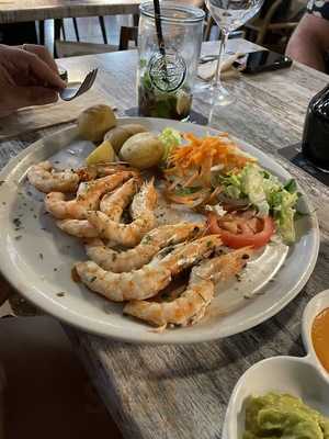 Rimini Corona Blanca