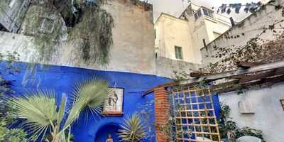 Her Ladyship's Secret Garden