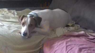 Bar Restaurante Los Ramones