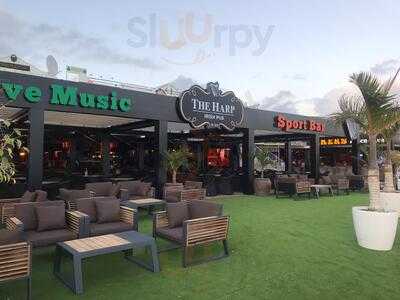 The Harp Bar