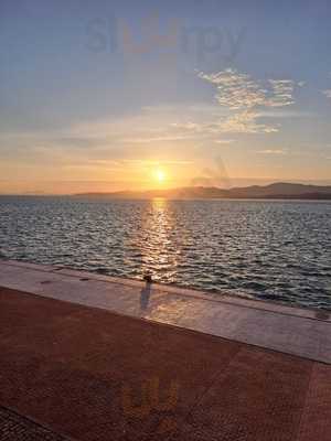 Albatros Terraza&bar