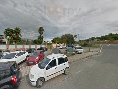 Pau Brasil Ibiza
