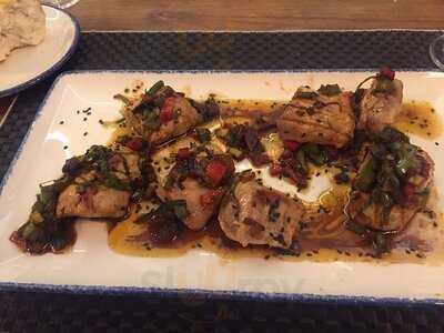 Encina Blanca De Alburquerque