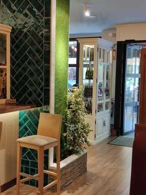 Encina Blanca De Alburquerque