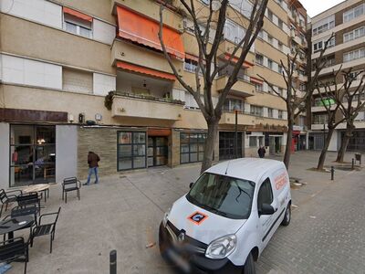 Encina Blanca De Alburquerque