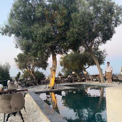 Kyupiddo Ibiza - Photo 7