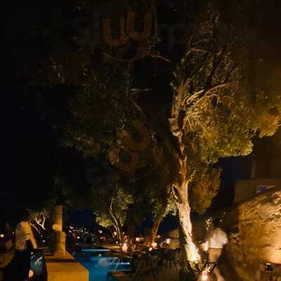 Kyupiddo Ibiza - Photo 8