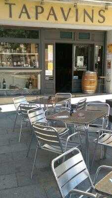 Tapavins