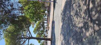 Reflex Disco Bar & Restaurant