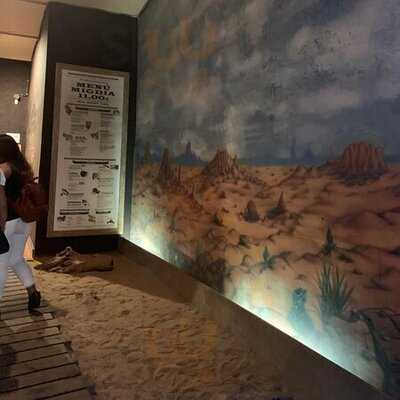 Escondido Cafe Cantina Tex-mex