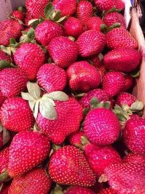 Life Beach & Friends