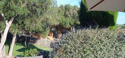 Restaurante Morvedra Nou