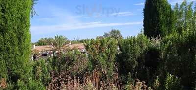 Restaurante Morvedra Nou