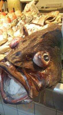 Restaurante El Tunel