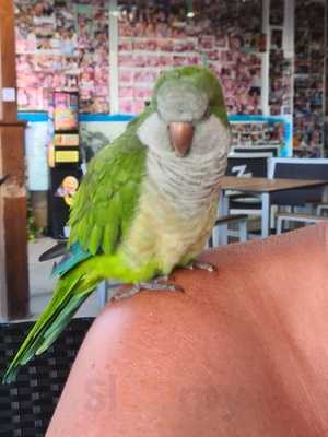 Paulos Sport Bar & Tapas Playa Blanca Lanzarote