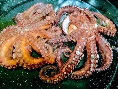 Taberna Los Abuelos.