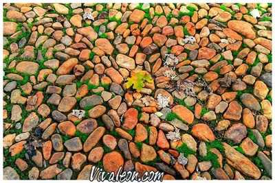 Vinos Grifo Vinoteca