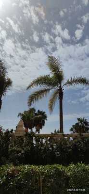 Restaurante Chino Bienvenido