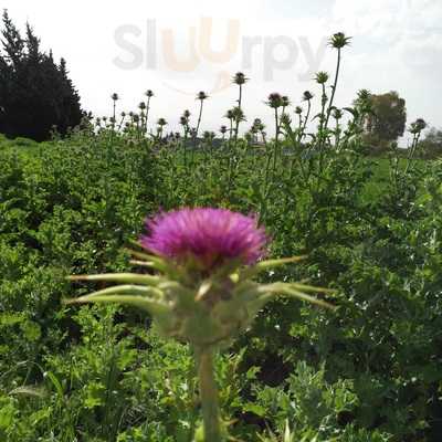 Restaurante Barlovento