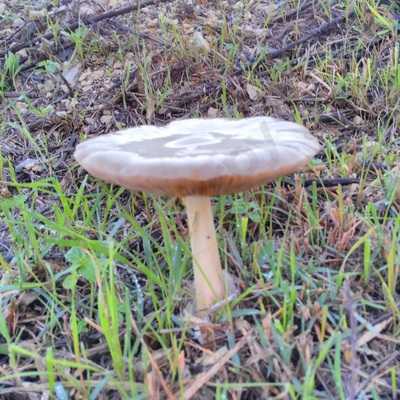 Restaurante Barlovento